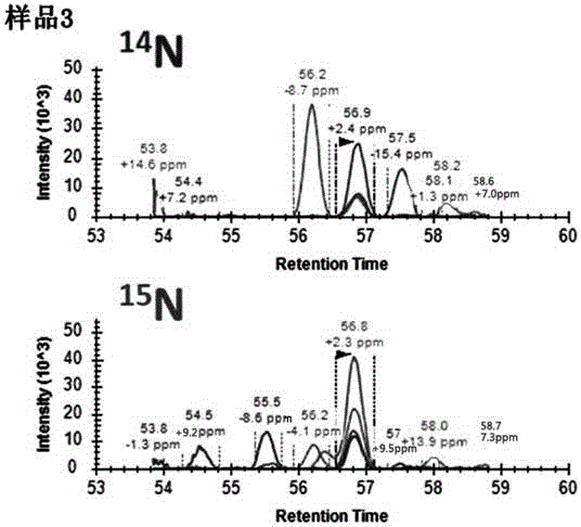 一种15N代谢标记蛋白质结合质谱平行反应监测定量的方法与流程