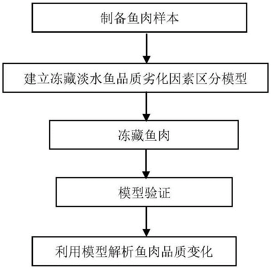 一种区分冻藏淡水鱼肉品质劣化影响因素的模型分析方法及应用与流程