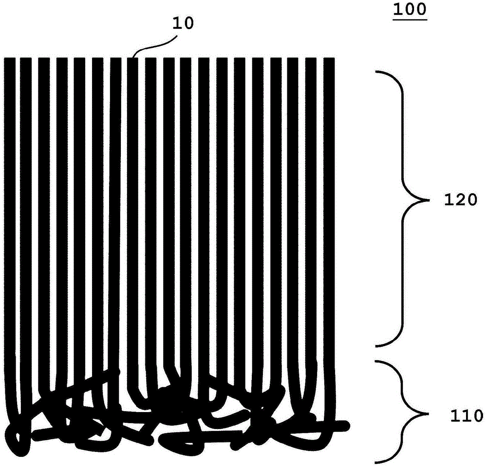 碳纳米管集合体的制作方法