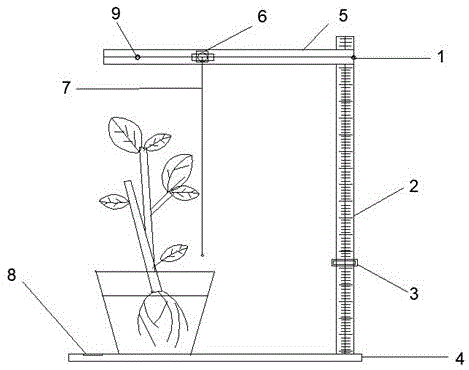 一种新型的盆栽株高测量装置的制作方法