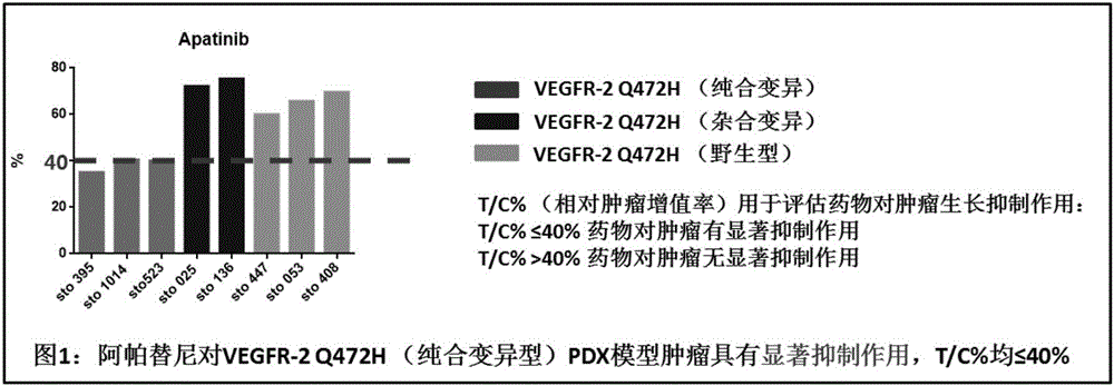 阿帕替尼有效生物标志物VEGFR-2基因检测试剂盒的制作方法