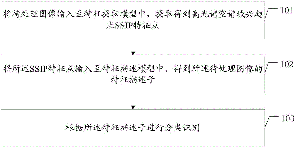 图像特征识别方法、相关装置及存储介质与流程