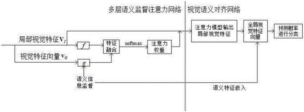 基于多层语义监督式注意力模型的细粒度零样本分类方法与流程