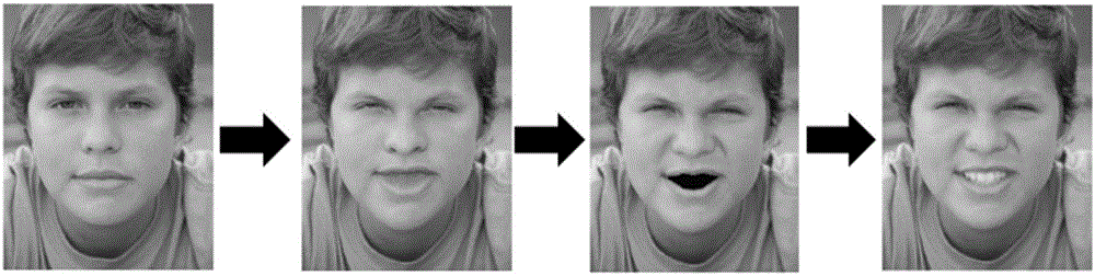 一种从单幅图像生成人脸动画的方法与流程