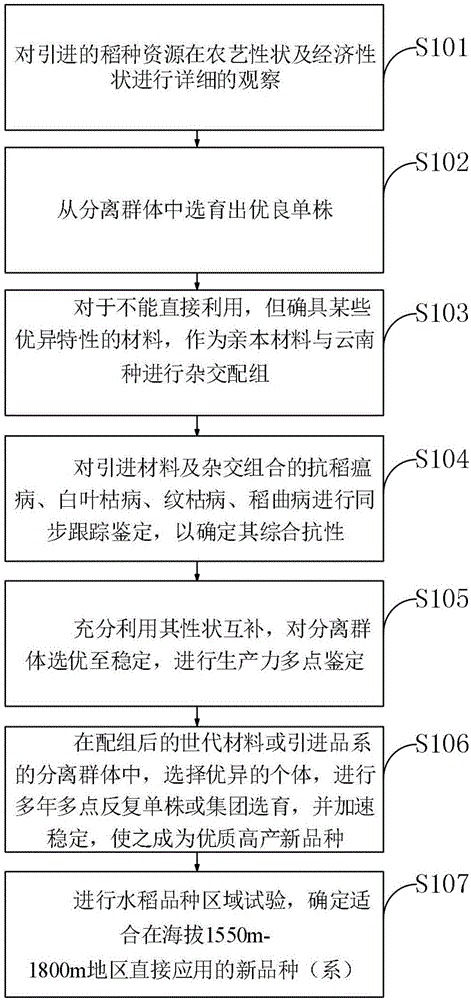 一种水稻育种方法与流程