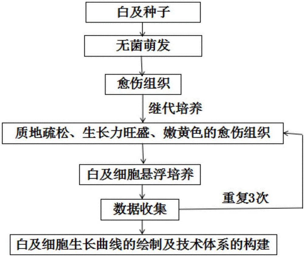 一种悬浮培养白及细胞的方法与流程