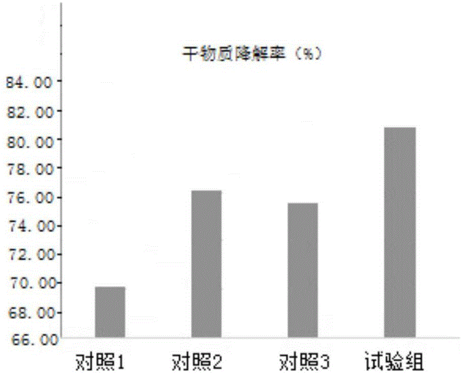 一种促进瘤胃发酵和提高免疫力的肉牛用发酵饲料及其制备方法与流程