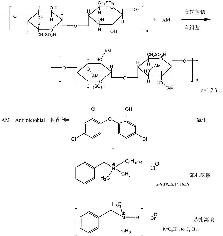 非均相皮肤内渗透抑菌护肤乳液及其制备方法与流程