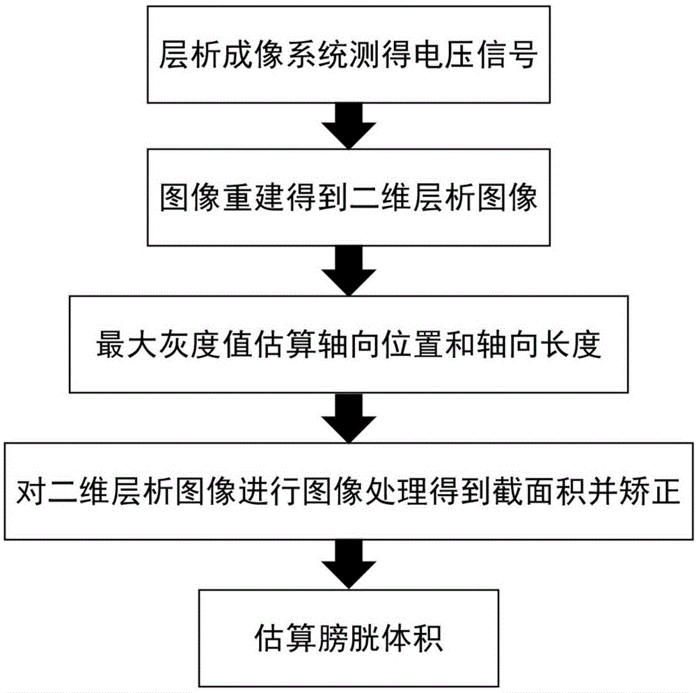 基于单层EIT电极边缘效应的膀胱体积测量方法与流程