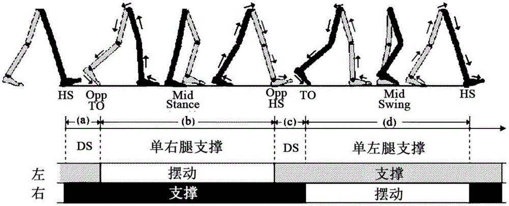 一种单加速度计人体步态检测系统及方法与流程