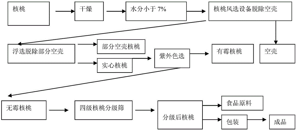 一种核桃精选加工工艺的制作方法