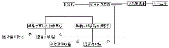 一种用于苹果分选装置的在线视觉检测系统的制作方法