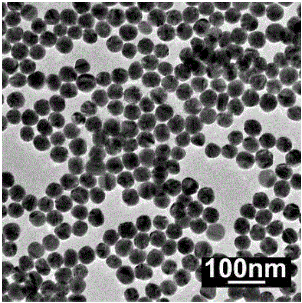 水溶性单分散大尺寸球形银纳米颗粒的合成方法与流程