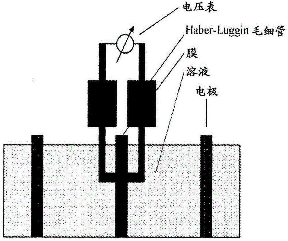 阴离子交换嵌段共聚物，其制造及其用途的制作方法