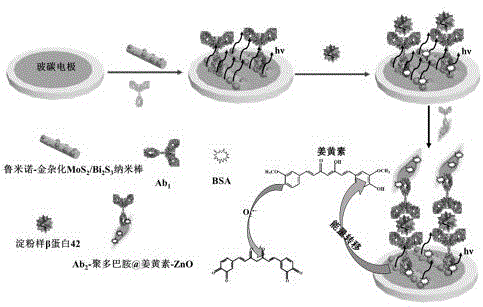 基于姜黄素复合ZnO纳米粒子猝灭鲁米诺电化学发光传感器的制备的制作方法