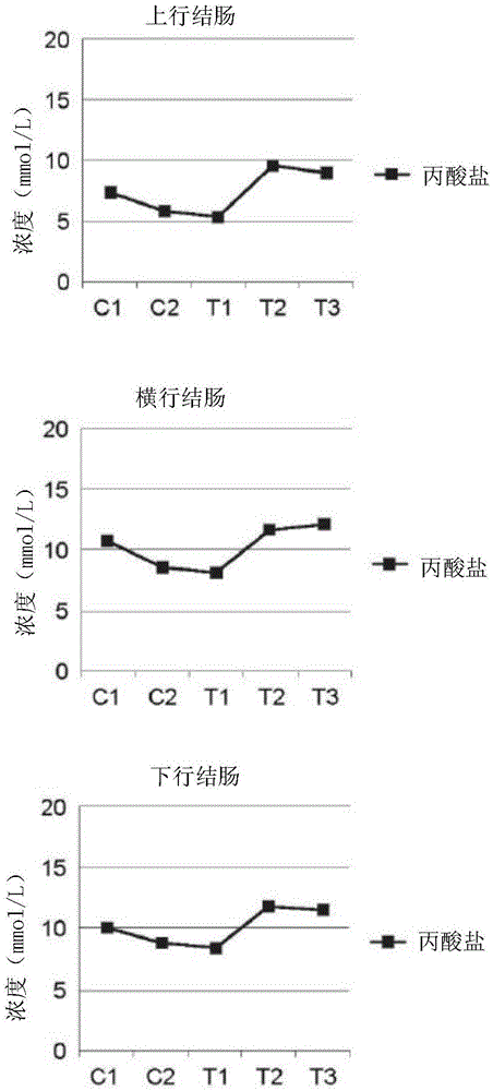 益生菌和消化酶的组合物及其制备和使用方法与流程