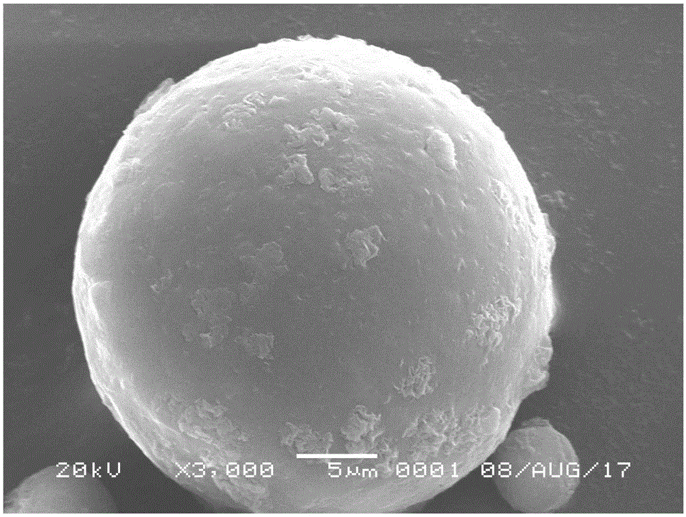 一种丹参酮ⅡA-壳聚糖/蒙脱土微球的制备方法与流程