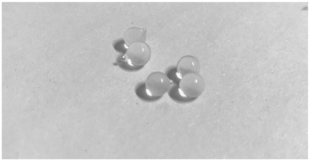可富集水中抗生素的卡拉胶-海藻酸钠复合凝胶球的制备的制作方法