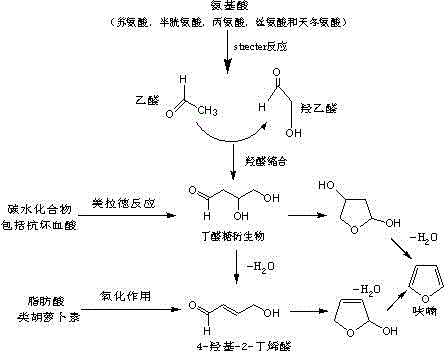 一种降低大豆小麦制备酱油中呋喃生成的方法与流程