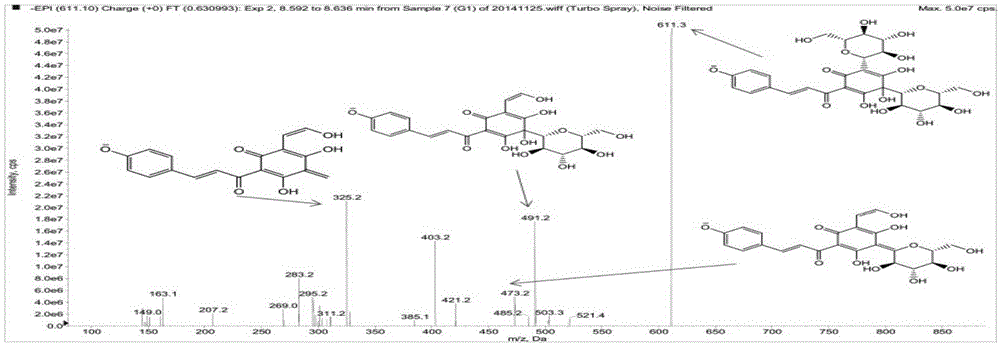 一种羟基红花黄色素A代谢物产物的检测方法与流程