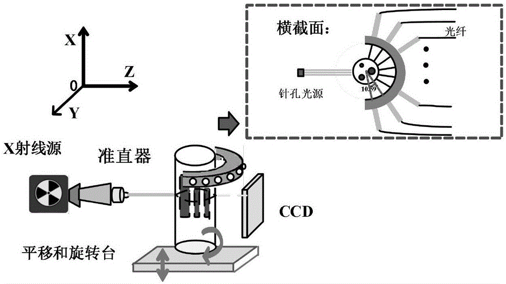 基于宽光束小步长扫描方式的X射线发光断层成像方法与流程