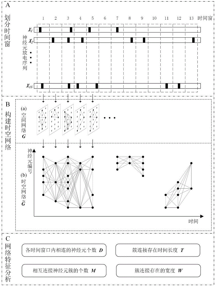 一种多电极阵列神经元放电序列的时空网络构建方法与流程