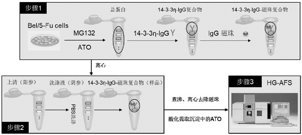 肿瘤标志蛋白抑制剂及其在抑制肿瘤标志蛋白中的应用的制作方法