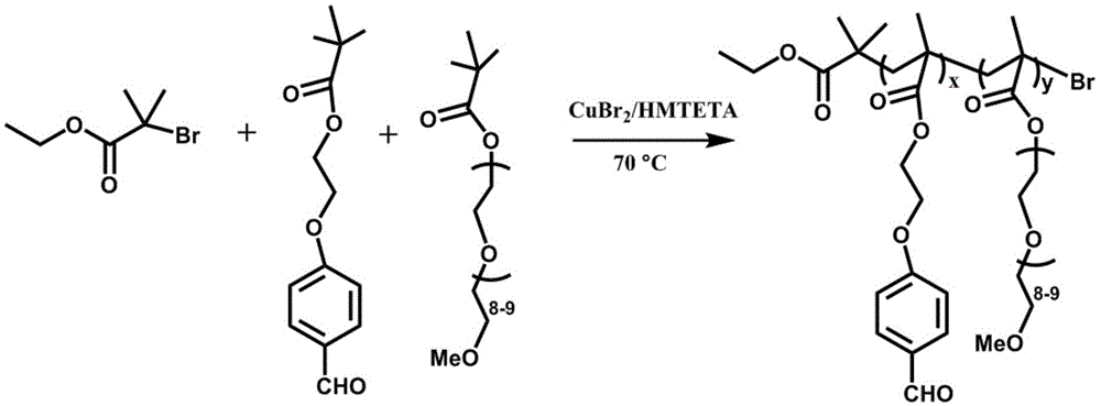 一种具有pH响应性的席夫碱共聚物包覆的介孔二氧化硅载药纳米粒子及其制备方法和应用与流程