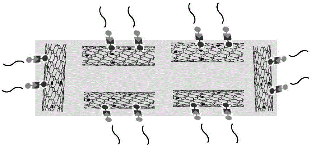 一种PVDF膜表面点击碳纳米管分离膜的制备方法与流程