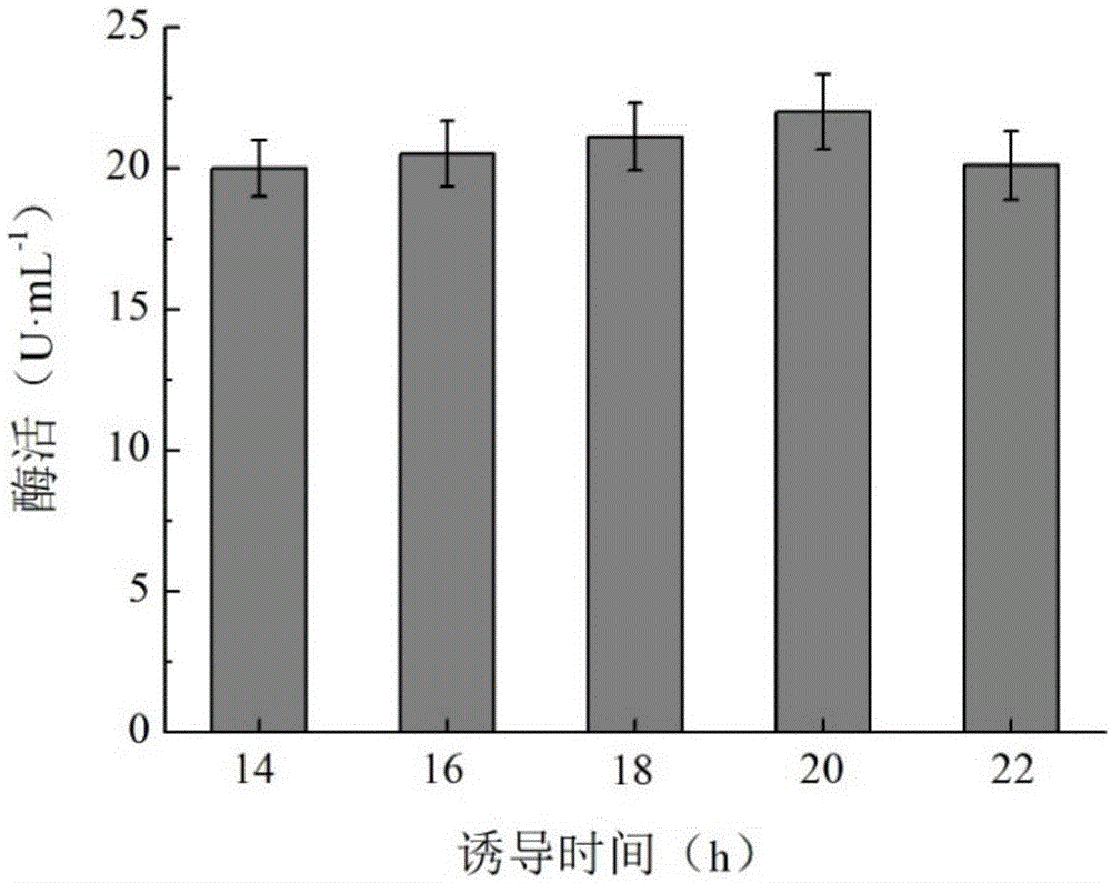 一种表达天冬酰胺氨肽酶的重组毕赤酵母及其构建方法与流程