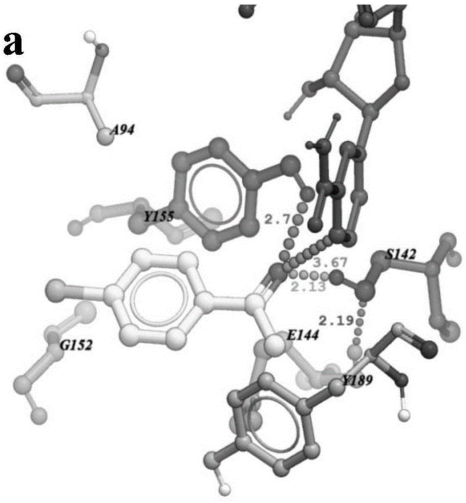 一种羰基还原酶突变体mut-AcCR(E144A/G152L)及其应用与编码基因的制作方法