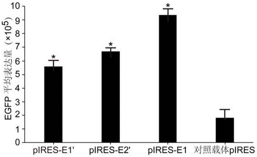 人工合成的内含子、哺乳动物细胞重组表达载体、哺乳动物宿主细胞、表达方法及其应用与流程