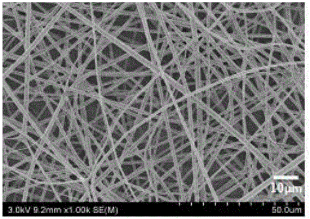 表面含壳聚糖粉末的纳米纤维空气净化材料及其制备方法与流程