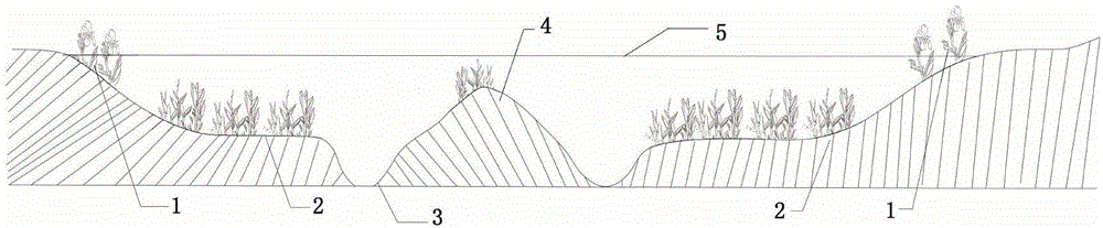 一种富营养化水体底质改良与地形重塑方法与流程