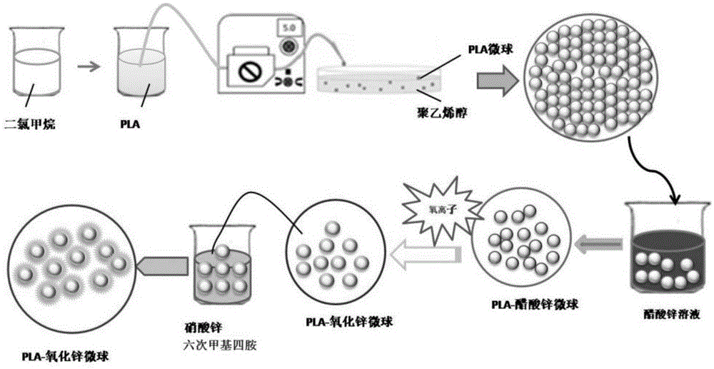 聚乳酸-氧化锌微米纳米多级结构复合微球材料及应用的制作方法