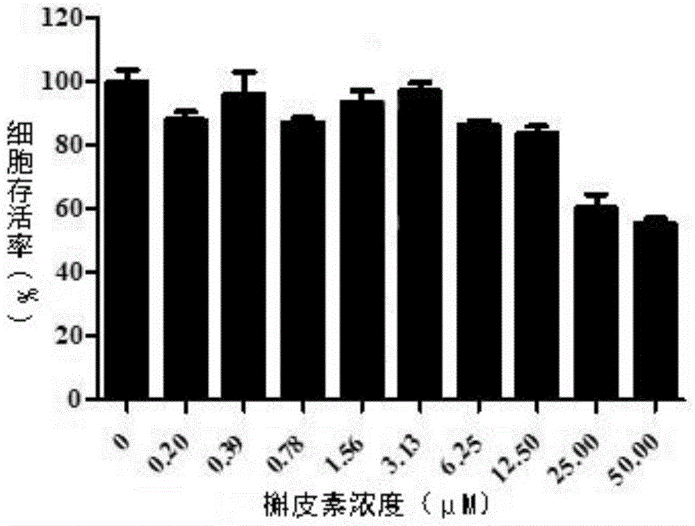 槲皮素及其衍生物在制备抗寨卡病毒药物中的应用的制作方法