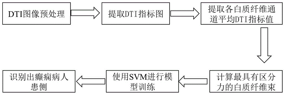 一种基于DTI技术及SVM的颞叶癫痫辅助诊断方法与流程