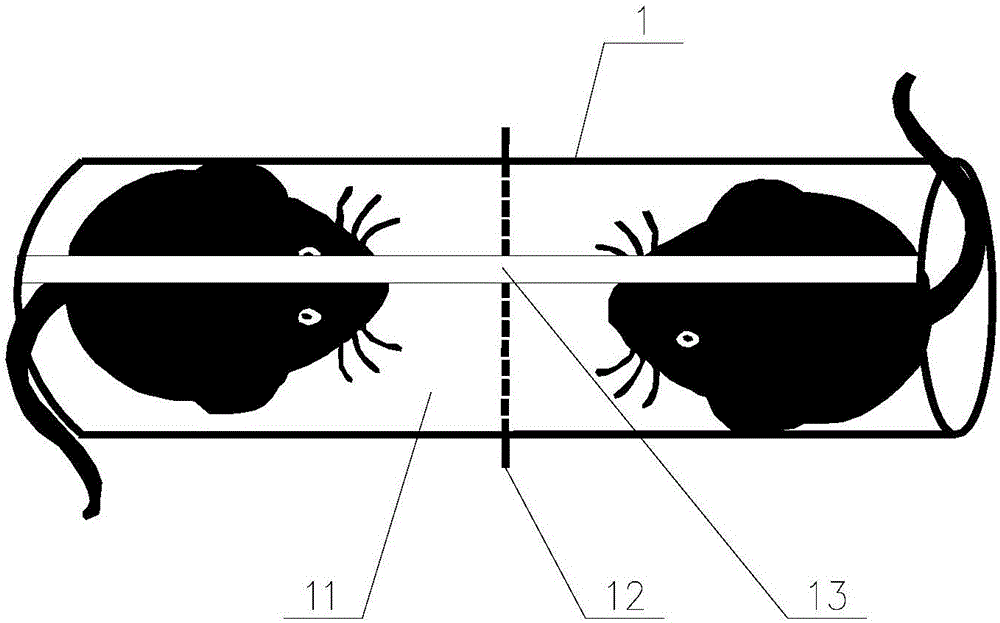 一种小鼠面孔识别行为学检测方法及装置与流程