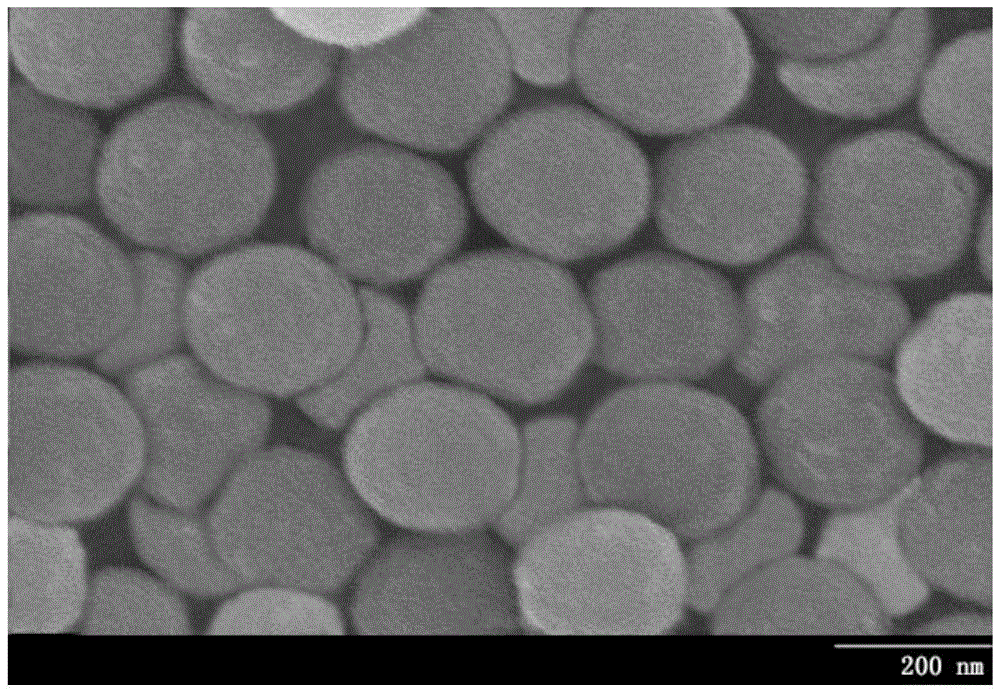 一种单分散超顺磁性纳米磁珠的制备方法和应用与流程