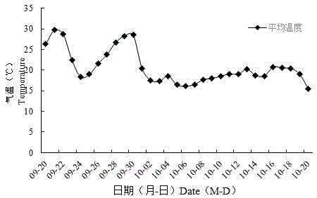 一种水稻耐冷化学调控剂的制作方法