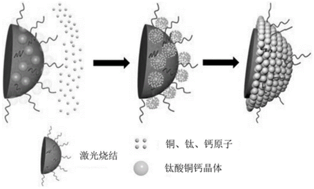 一种钛酸铜钙的制备方法与流程