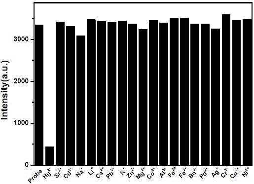 一种汞离子检测探针及其制备方法和应用与流程