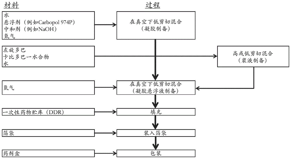 左旋多巴和卡比多巴肠凝胶以及使用方法与流程