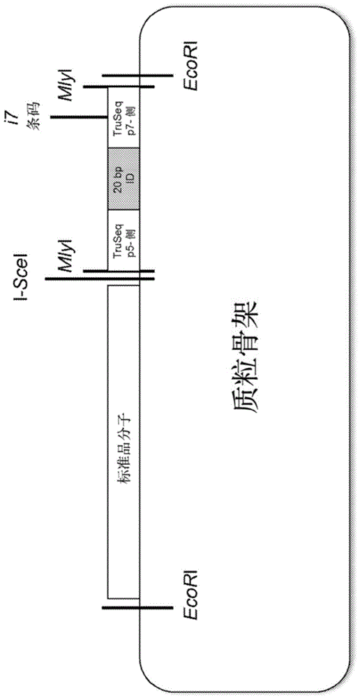 分析标准品及其使用方法与流程