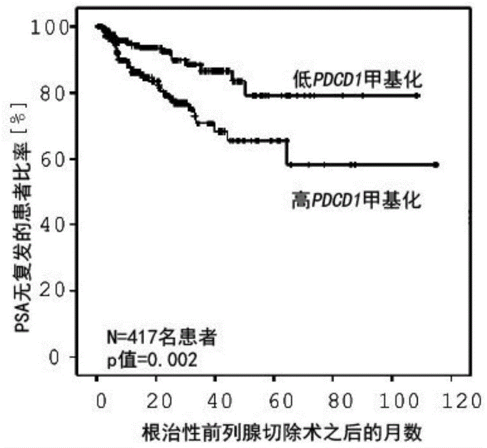 一种评估预后和预测恶性疾病患者对免疫治疗的反应的方法与流程