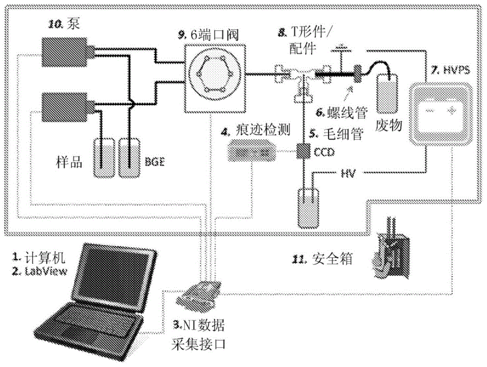 无机离子检测系统和方法与流程