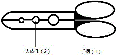 一种快速葵花籽去皮器的制作方法