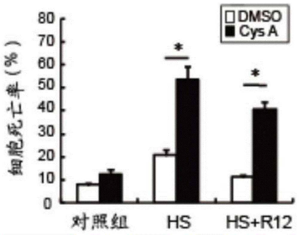 环孢素A在和热疗联合应用治疗宫颈癌的药物中的应用的制作方法