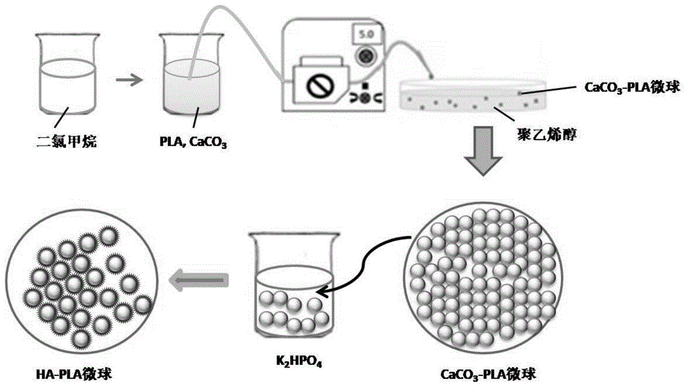 聚乳酸-羟基磷灰石微米纳米多级结构复合微球材料及应用的制作方法