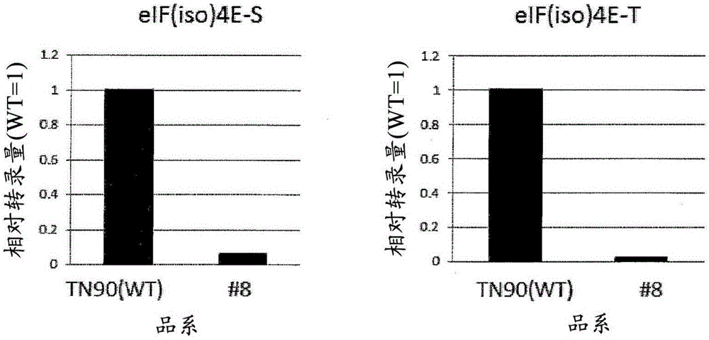 病毒抗性烟草及其制备方法与流程